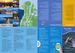 Dolphin Trail - City of Port Adelaide Enfield