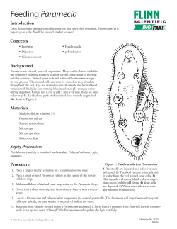 Feeding Paramecia - Flinn Scientific