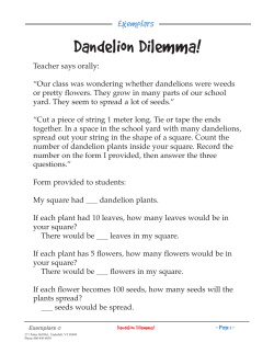 Dandelion Dilemma!