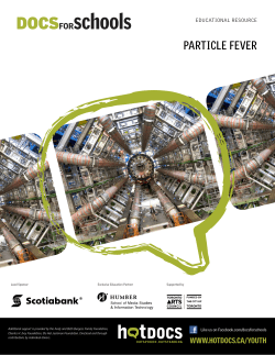 particle fever