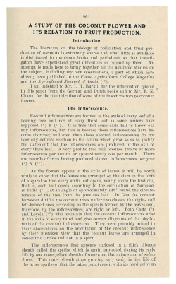 A STUDY OF THE COCONUT FLOWER AND IrS RELATION TO