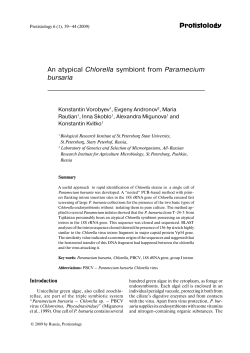 Protistology An atypical Chlorella symbiont from Paramecium bursaria