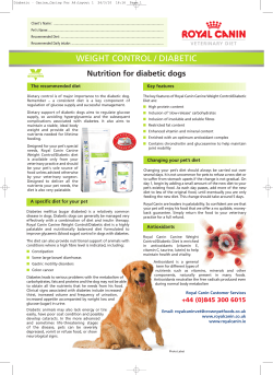 Nutrtition for diabetic dogs