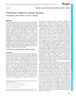 Preclinical models for obesity research