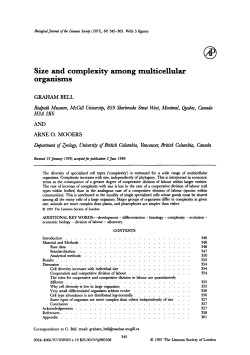 Size and complexity among multicellular organisms