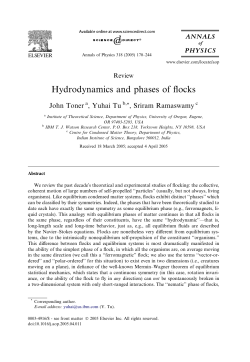 Hydrodynamics and phases of flocks