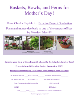 Baskets, Bowls, and Ferns for Mother`s Day!