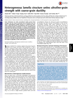 Heterogeneous lamella structure unites ultrafine