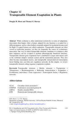 Plant Transposable Elements: Topics in Current