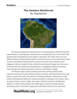 the amazon rainforest-bio diversity