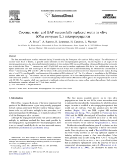 Coconut water and BAP successfully replaced zeatin in olive (Olea