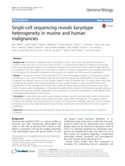 Single-cell sequencing reveals karyotype
