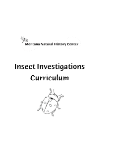 Preview or print the Insect Investigations Curriculum Guide.