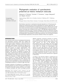 Phylogenetic evaluation of cyanobacteria preserved as historic