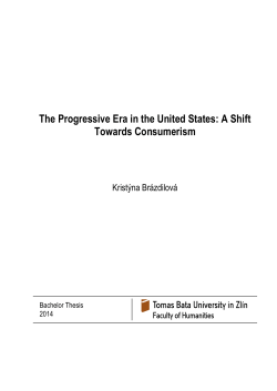 &Scaron;ablona -- Diplomov&aacute; pr&aacute;ce