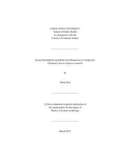Thesis  - Loma Linda University