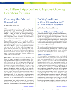 Two Different Approaches to Improve Growing Conditions for Trees