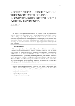 pdf CONSTITUTIONAL PERSPECTIVES ON THE File size