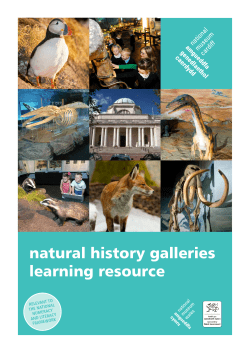 natural history galleries learning resource
