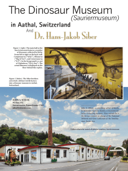 The Dinosaur Museum - Sauriermuseum Aathal