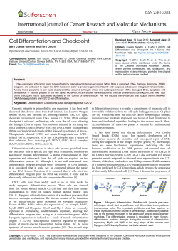 Cell Differentiation and Checkpoint