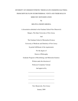 DIVERSITY OF CHEMOSYNTHETIC THIOSULFATE OXIDIZING