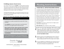 Planting Instructions - Zoysia Farm Nurseries