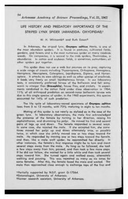 Life History and Predatory Importance of the Striped Lynx Spider