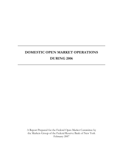 domestic open market operations during 2006