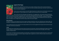 Legend of the Poppy