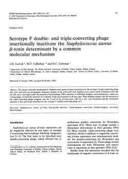Serotype F double- and triple-converting phage insertionally
