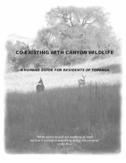 Co-Existing with Wildlife - Topanga Creek Watershed Committee