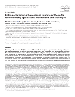 Linking chlorophyll a fluorescence to photosynthesis for remote