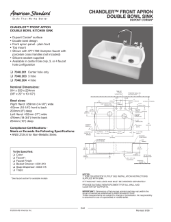 chandler&trade; front apron double bowl sink