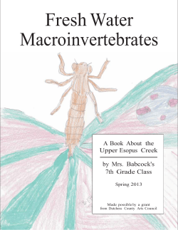 Fresh Water Macroinvertebrates