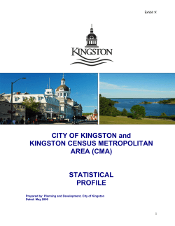 2008 Statistical Profile of City and Census