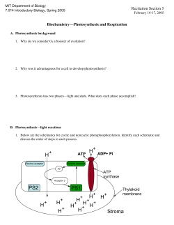 Photosynthesis