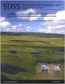 Caribou Data Synthesis &ndash; Progress Report # 2