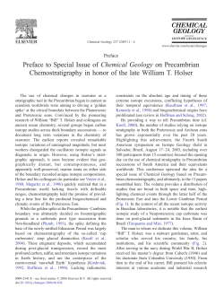 Preface to Special Issue of Chemical Geology on Precambrian