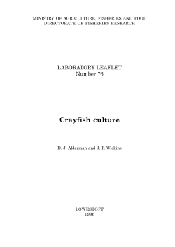 Crayfish Culture