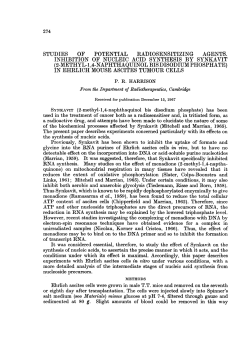 inhibition of nucleic acid synthesis by synkavit in ehrlich