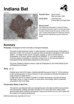 NYNHP Conservation Guide for Indiana Bat