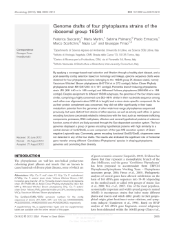 Genome drafts of four phytoplasma strains of the