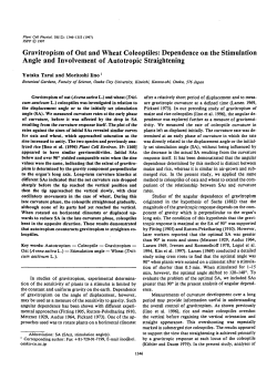 Gravitropism of Oat and Wheat Coleoptiles: Dependence on the