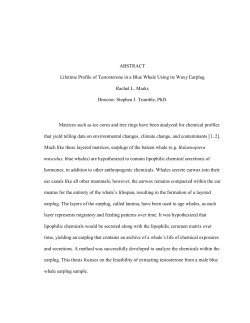 ABSTRACT Lifetime Profile of Testosterone in a Blue Whale Using