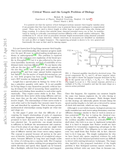 Critical Waves and the Length Problem of Biology