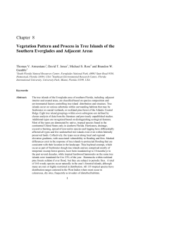 Chapter 8 Vegetation Pattern and Process in Tree Islands of