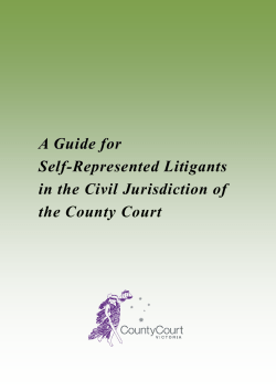 A Guide for Self-Represented Litigants in the Civil Jurisdiction of the