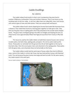 The caddo indian essay
