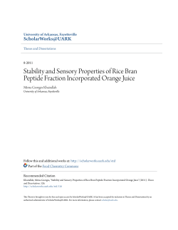 Stability and Sensory Properties of Rice Bran Peptide Fraction